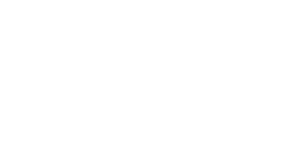 Flightpath Services Inc.